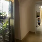 The Maze *