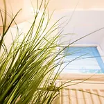 Apartamento The Maze