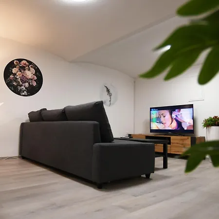 The Maze Apartment *