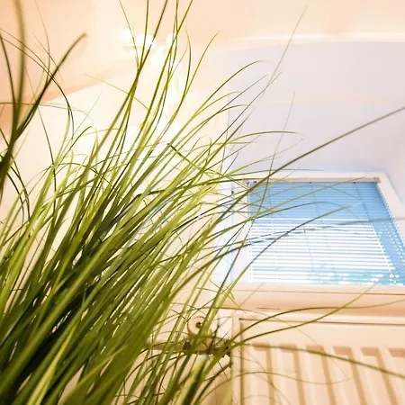 Appartement The Maze